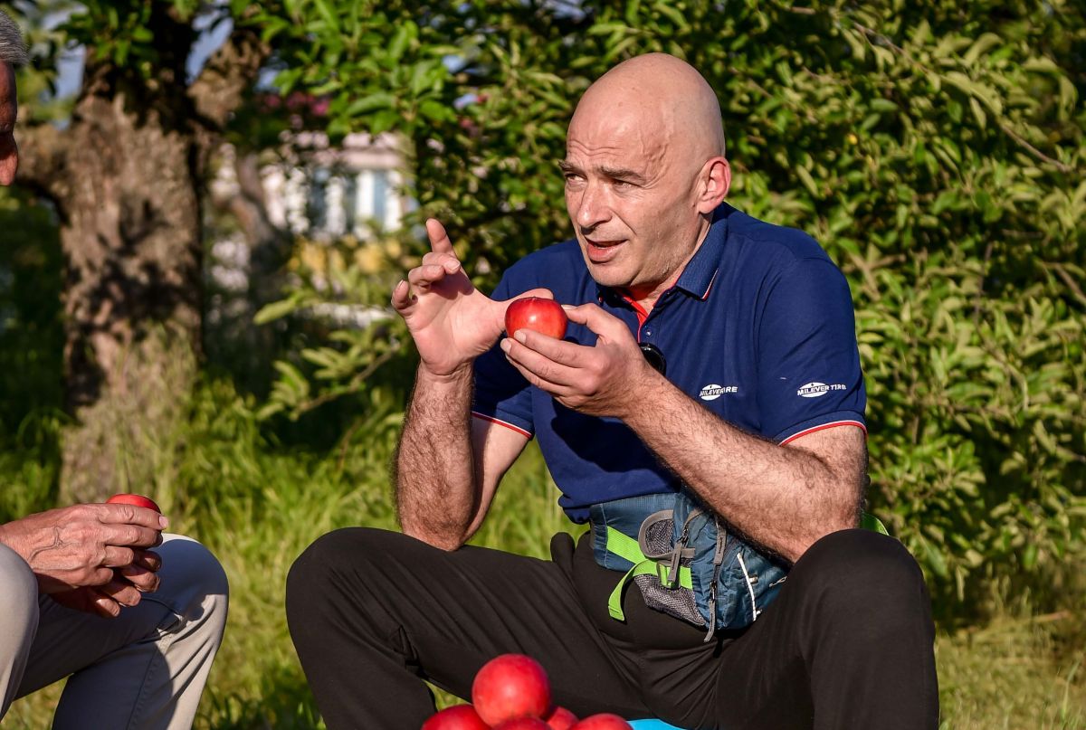 Прцуловски